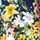 Blue Multi Floral Print