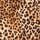 Leopard Love Velvet