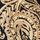 Black Paisley Print