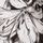 White/Pattie Floral