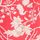 Red/White Ditsy Floral Print