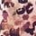Pink Leopard Animal