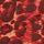 Red Animal Print