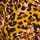 Animal Print