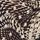 Snake Print