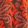 Rust Brown Print