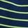 Navy Blue/Lime Green Stripe