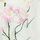 Ecru Abstract Vase Print