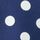 Navy Blue Spot