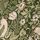 Nettle Green