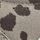 Cow Print