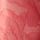 Coral Pink