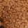Brown Bear