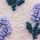 Blue/Cream Floral