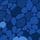 MidnightBlue