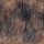 Chocolate Brown Leopard Animal