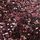 ពណ៌ Pink Glitter
