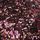 ពណ៌ Pink Glitter