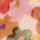 Multi Floral