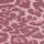 Pink Leopard