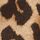 Brown Leopard