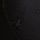 Black Spiderweb