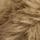 Brown Sloth