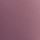 Mauve rose