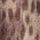 Brown Deer Print