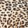 Leopard Love