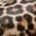 Leopard Print
