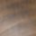 Light Chestnut Brown