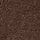 Chocolate Brown