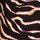 Black Zebra