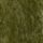Green Olive