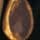 Champagne Gold Stone