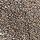 Gold Speckle