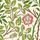 Sweet Briar Boughs Rose