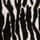 Animal Black/White