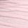 Pink Tulip