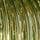Green Ribbed Glass