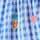 Blue Gingham