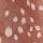 Bambi Animal Print
