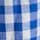Blue Gingham