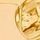 金色