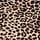 Leopard Brown