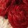 Festive Spice Red Christmas Pudding