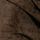 Dark Khaki Green