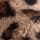 Leopard Print