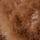 Cerf Marron Fauve